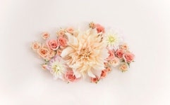   2 비타민반 : 소개- Classting 금구초등학교 6 - 2 비타민반 - 클래스팅