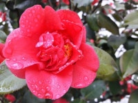   교직인성프로그램특별강의 : Posts- Classting 광주교육대학교 1 - 교직인성프로그램특별강의 - Classting