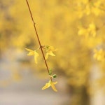   7 : 소개- Classting 잠원초등학교 1 - 7 - 클래스팅