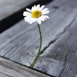   6 : 소개- Classting 서울잠일초등학교 4 - 6 - 클래스팅