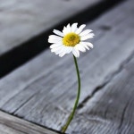   7 : 소개- Classting 서울잠일초등학교 2 - 7 - 클래스팅
