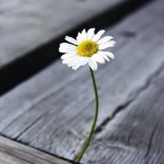   7 : 소개- Classting 서울잠일초등학교 2 - 7 - 클래스팅