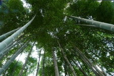   과학 : 소개- Classting 서울연은초등학교 6 - 과학 - 클래스팅