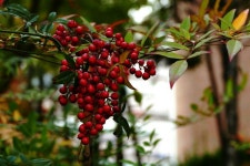   과학 : 소개- Classting 서울연은초등학교 5 - 과학 - 클래스팅