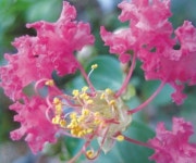   끼 회복 문화진로체험 동아리 : 소개- Classting 서울역촌초등학교 5 - 끼 회복 문화진로체험 동아리 - 클래스팅