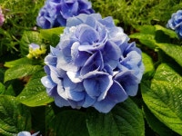   2 : 소개- Classting 인천동방초등학교 4 - 2 - 클래스팅