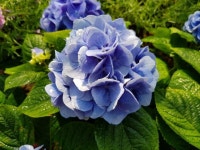   2 : 소개- Classting 인천동방초등학교 4 - 2 - 클래스팅