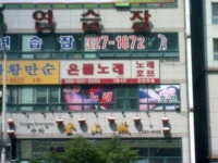 은돌? 온돌? 노래 > 자유갤러리 | 쿨엔조이
