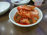- 오늘 먹고온 석촌역 황도 바지락 칼국수~ > 자유갤러리 | 쿨엔조이