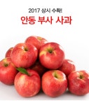 [위메프] 안동 부사 5kg 무료배송 6900원 > 지름/알뜰정보 | 쿨엔조이