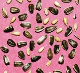 	헬스, 요가, 건강 | 코스모폴리탄 (Cosmopolitan Korea)	 헬스, 요가, 건강 | 코스모폴리탄 (Cosmopolitan Korea)