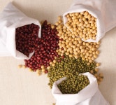 	헬스, 요가, 건강 | 코스모폴리탄 (Cosmopolitan Korea)	 헬스, 요가, 건강 | 코스모폴리탄 (Cosmopolitan Korea)