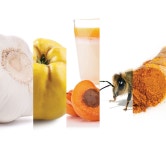 	헬스, 요가, 건강 | 코스모폴리탄 (Cosmopolitan Korea)	 헬스, 요가, 건강 | 코스모폴리탄 (Cosmopolitan Korea)