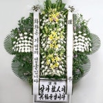 다이소몰에 방문해 주셔서 감사합니다. 