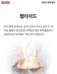 [카드뉴스] 오늘의 경제용어 - 펩타이드 - 종합 경제정보 미디어 - 이데일리 [카드뉴스] 오늘의 경제용어 - 펩타이드