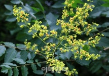 이데일리-세상을 올바르게,세상을 따뜻하게