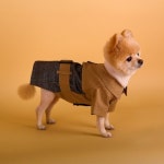 엔터식스몰 - 패션&라이프스타일몰