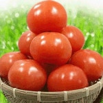 우체국쇼핑 완숙토마토[5kg] 최저가 쇼핑 정보 - 에누리가격비교 우체국쇼핑 완숙토마토[5kg] < 과일 < 농산물 [에누리 가격비교]