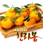 천제연농원 한라봉 18~22과[5kg] 최저가 쇼핑 정보 - 에누리가격비교 천제연농원 한라봉 18~22과[5kg] < 과일 < 농산물 [에누리 가격비교]