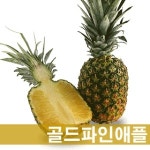 과일 | 농산물 최저가 검색 - 에누리 가격비교