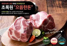 G마켓 - (신선집중) 1등급 한돈 국내산 냉장 삼겹살 500g (구이용) G마켓-(신선집중) 1등급 한돈 국내산 냉장 삼...