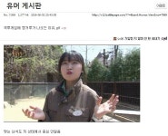 격투게임에 캥거루가 나오는 이유.gif - BATTLEPAGE