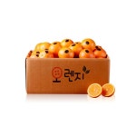 트렌드 라이프 쇼핑 G9 G9 - 퓨어스펙/스위트 오렌지 30과 중소과 (중과/대과)