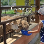 G9 | [경기] 양평 양떼목장