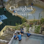 G9 | [충북] 충주 수안보 온천랜드 입장권 