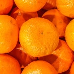 [15%] 제주 조생감귤 10KG (M+L혼합) - 샵계부