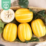 트렌드 라이프 쇼핑 G9 G9 - 별고을 성주 꿀 참외 5kg(12~20과) 정품 선물용