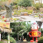 트렌드 라이프 쇼핑 G9 G9 - [제주]휴애리 + 코코몽에코파크