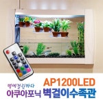 G9 | 벽바다 아쿠아포닉 벽걸이수족관 AP1200/공기정화식물