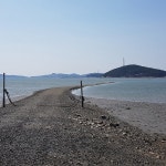 G9 | |충남| 서산 강소형 잠재관광지 비밀의섬 웅도/개심사/해미읍성/버드랜드/간월도 당일여행