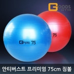 G9 | 구스짐 구스짐 안티버스트 프리미엄 75cm 짐볼 다이어트 헬스