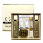 에스까다골드디엑스토탈리페어24