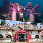 트렌드 라이프 쇼핑 G9 G9 - [제주] 서귀포잠수함 이용권+코코몽에코파크