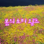 봄의 소리 왈츠 / Various Artists - genie