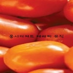 홍시 디저트 테라피 뮤직 / LELE CUHYUL HAEAEN - genie