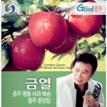 충주 명품 사과 복송 / 충주 중앙탑 / 금열 - genie