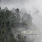 눈앞에 펼쳐진 주님의 숲 / 워십트리 (WorshipTree) - genie