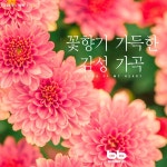 꽃향기 가득한 감성 가곡 - 김대웅 창작 가곡집 2 / Various Artists - genie