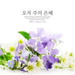 오직 주의 은혜 / 이예인 - genie
