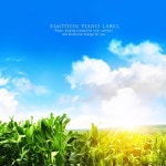 모두가 행복한 세상 / Melodic Sky - genie