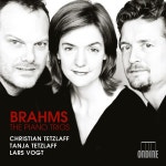 Brahms : Piano Trio No.2 In C Major, Op.87 - II. Andante Con Moto (브람스 : 피아노 3중주 2번 C장조, Op.87 - 2악장)... 