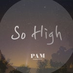 So High / 팜 프로젝트 (PAM Project) - genie