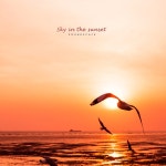 바람의 흔적 / 풍경소리 - genie