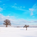 하늘에 보내는 편지 / 유시몬 - genie