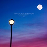 달빛 아래 추억 / Vino - genie