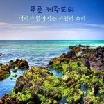 푸른 제주 파도소리 / 바다지기 - genie